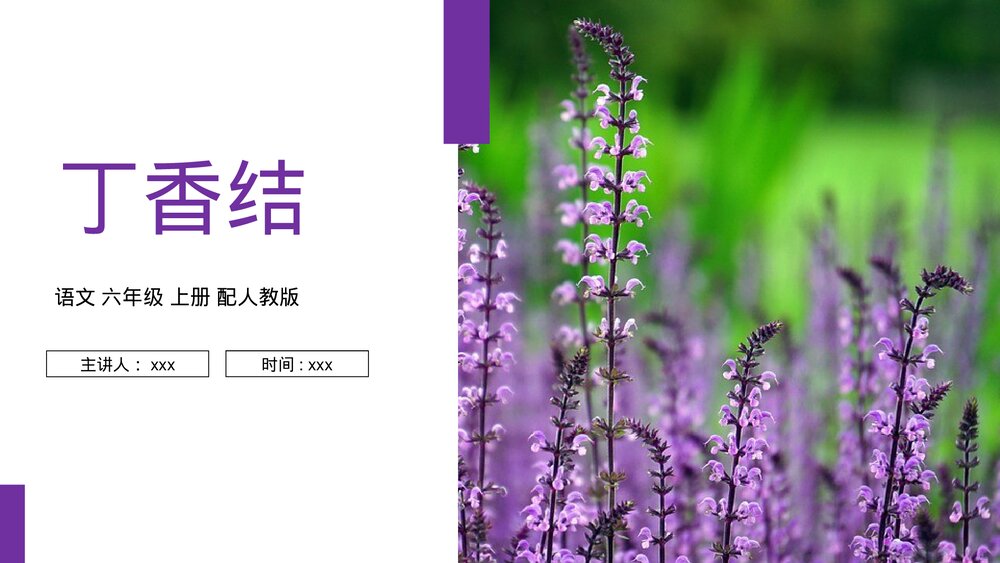 人教版六年级语文上册《丁香结》PPT课件1