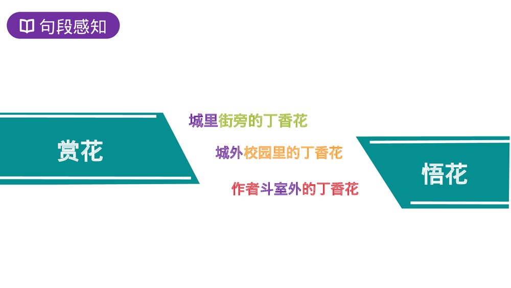 人教版六年级语文上册《丁香结》PPT课件6