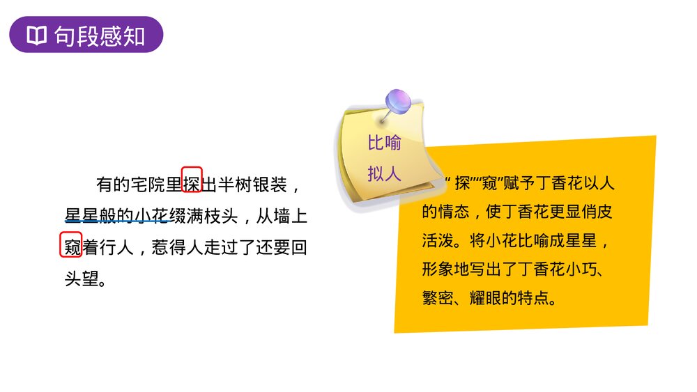 人教版六年级语文上册《丁香结》PPT课件7