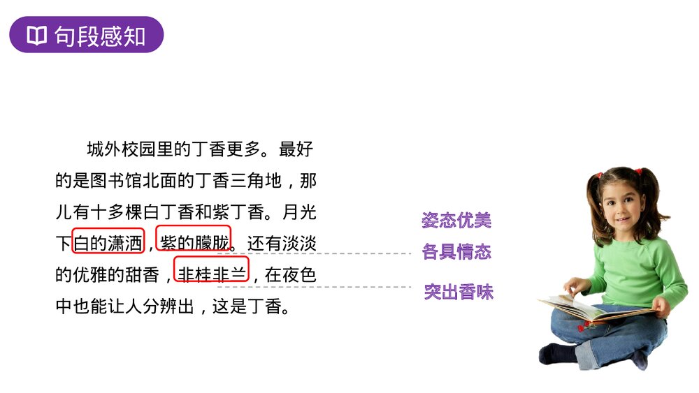 人教版六年级语文上册《丁香结》PPT课件8