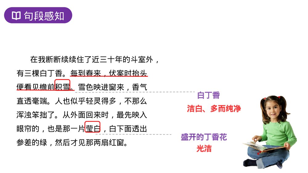 人教版六年级语文上册《丁香结》PPT课件9