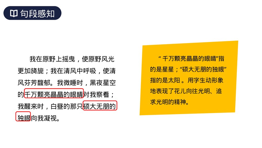 人教版六年级语文上册《花之歌》PPT课件10