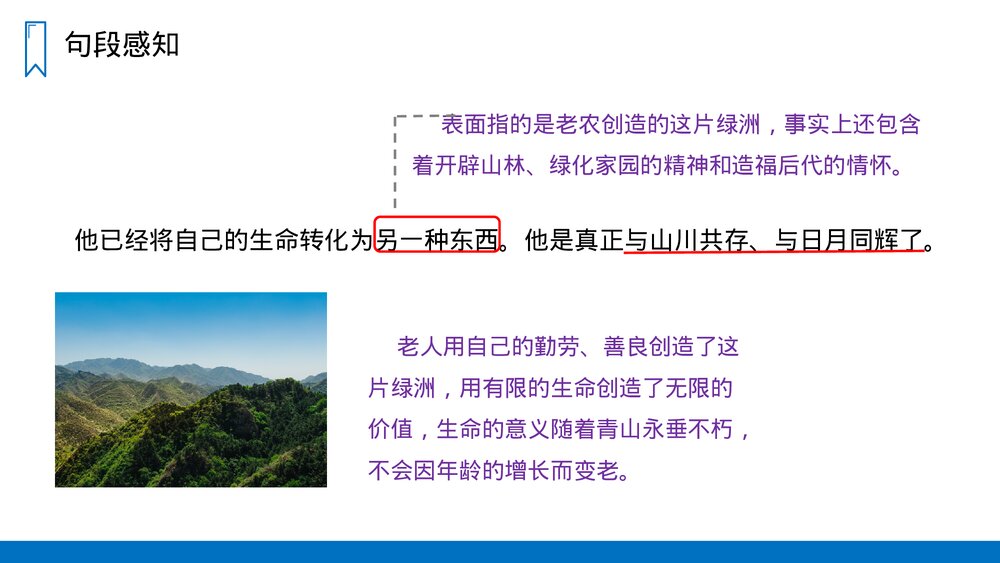 人教版六年级语文上册《青山不老》PPT课件10