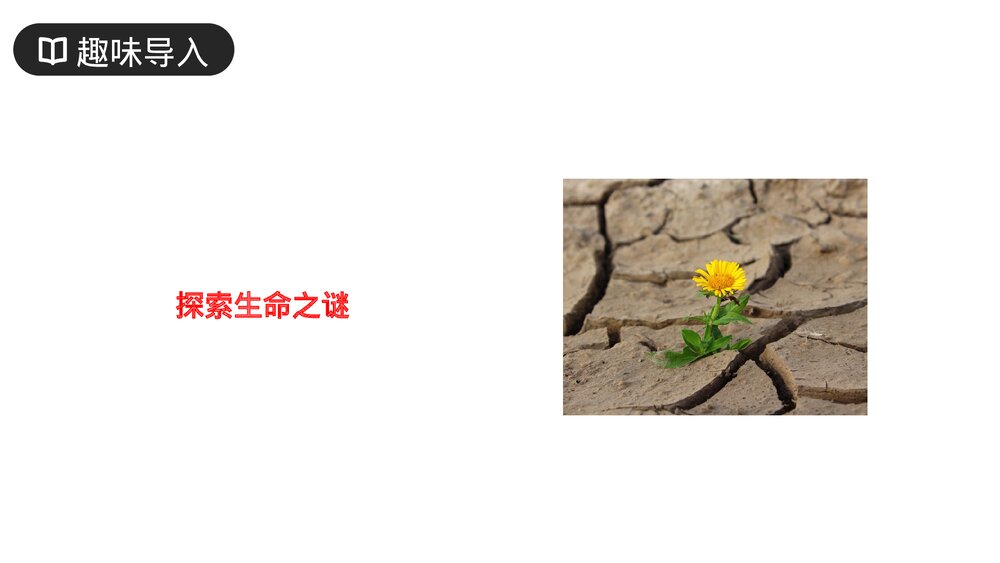 人教版六年级语文上册《地球未解之谜》PPT课件2