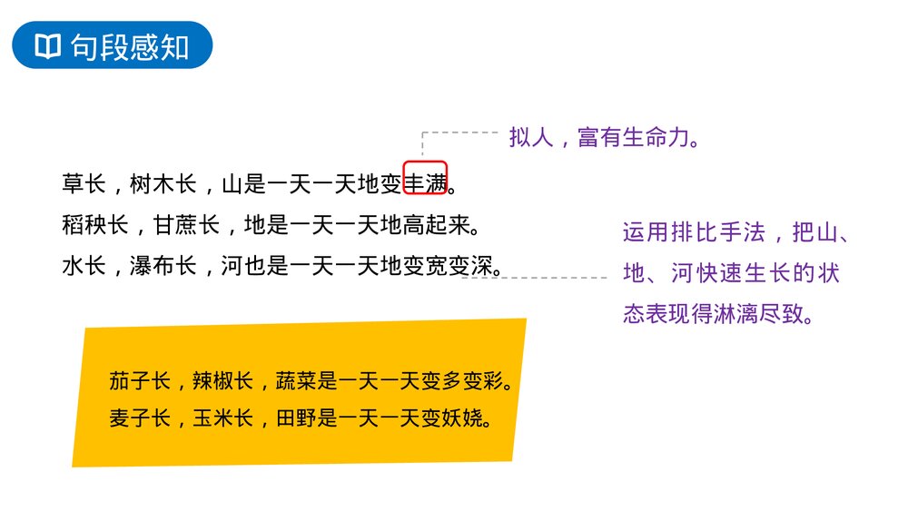 人教版六年级语文上册《夏天里的成长》PPT课件8