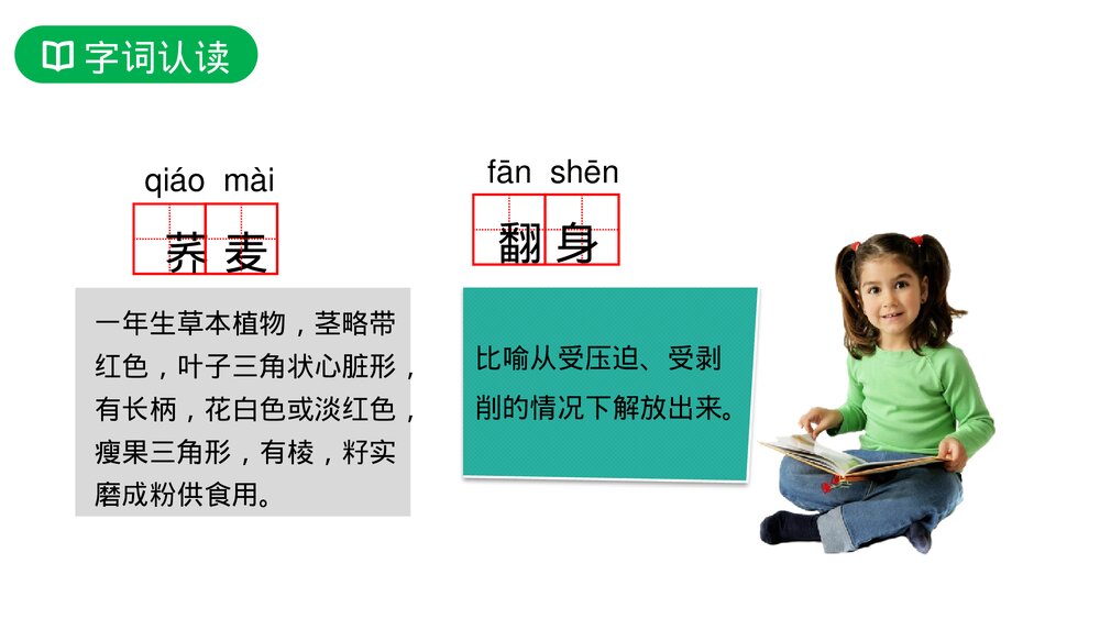 人教版六年级语文上册《三黑和土地》PPT课件6