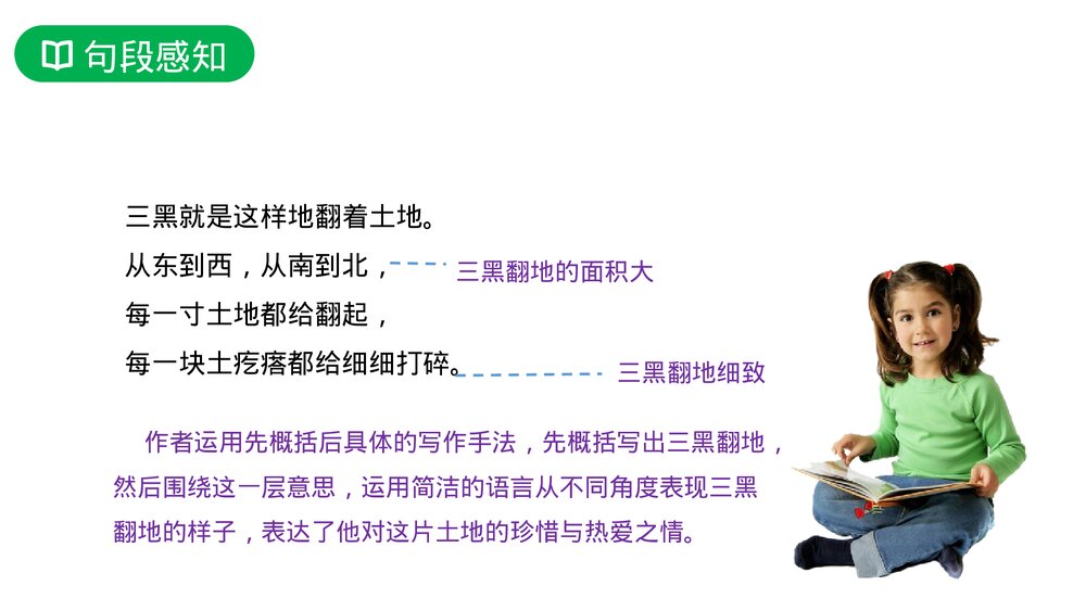 人教版六年级语文上册《三黑和土地》PPT课件8