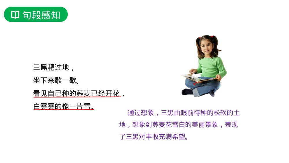 人教版六年级语文上册《三黑和土地》PPT课件10