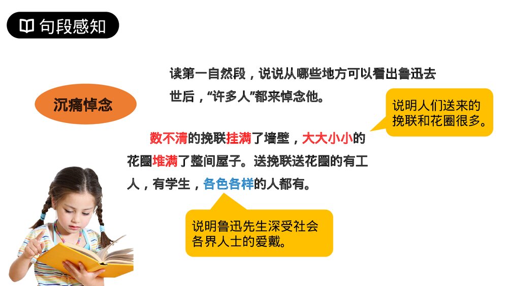 人教版六年级语文上册《我的伯父鲁迅先生》PPT课件9