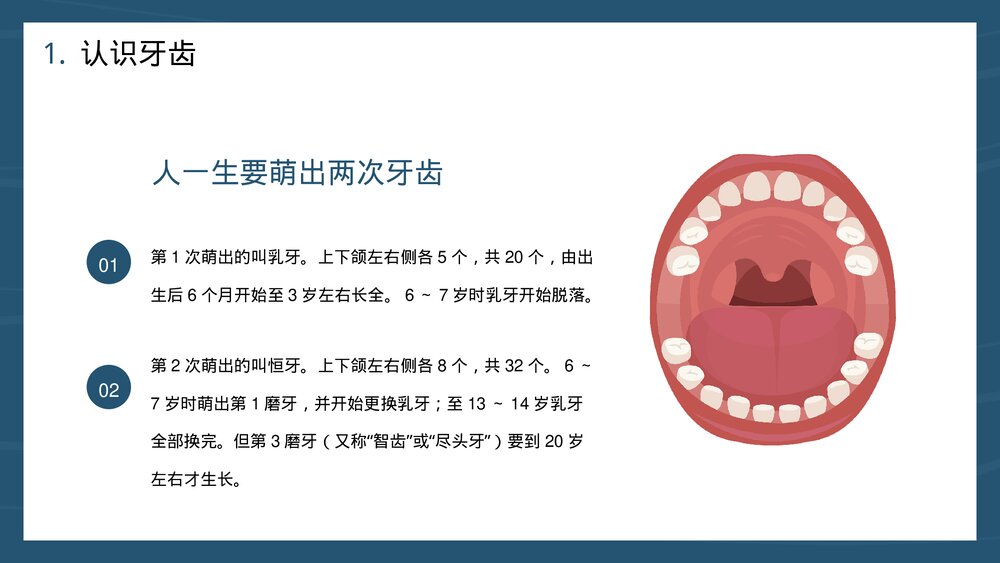 爱护口腔牙齿健康主题教育PPT课件(共22页·可编辑修改)6