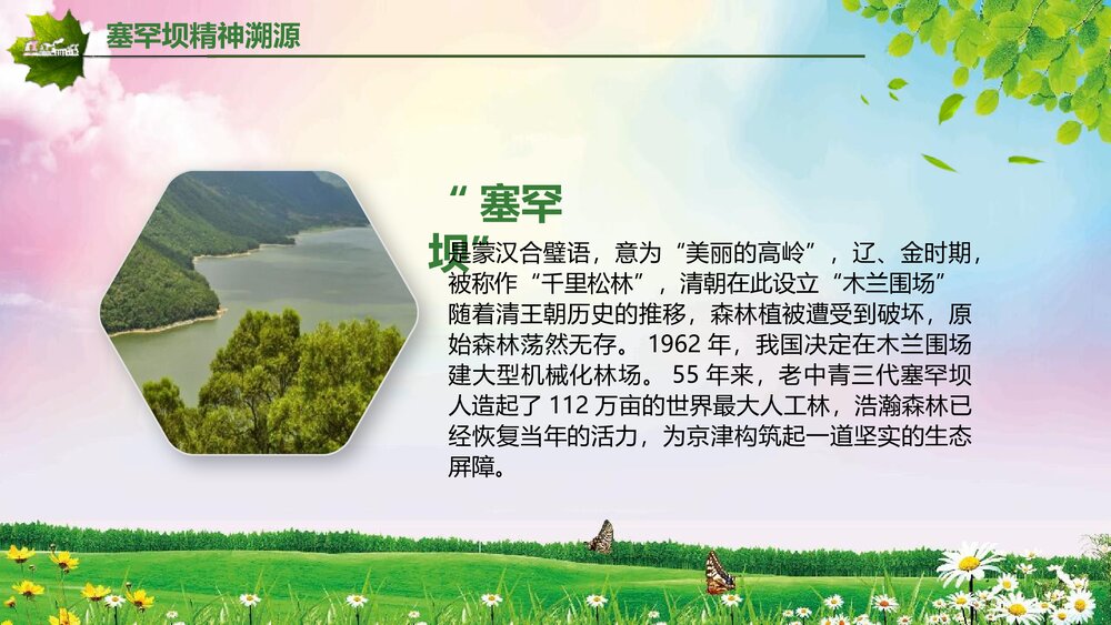 扎实推进生态文明建设大力弘扬塞罕坝精神PPT课件下载(共50页)5