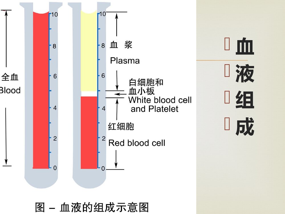 妊娠合并贫血诊断与治疗PPT课件（共76页）3