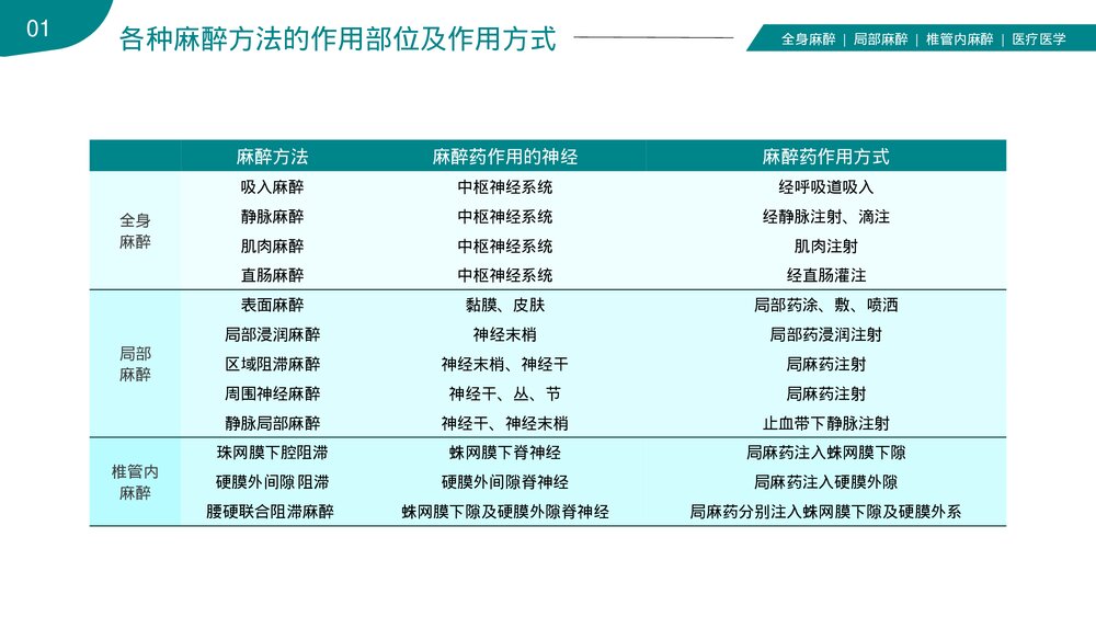 麻醉科普医院医生医疗医学知识讲座培训PPT课件下载(共41页)5