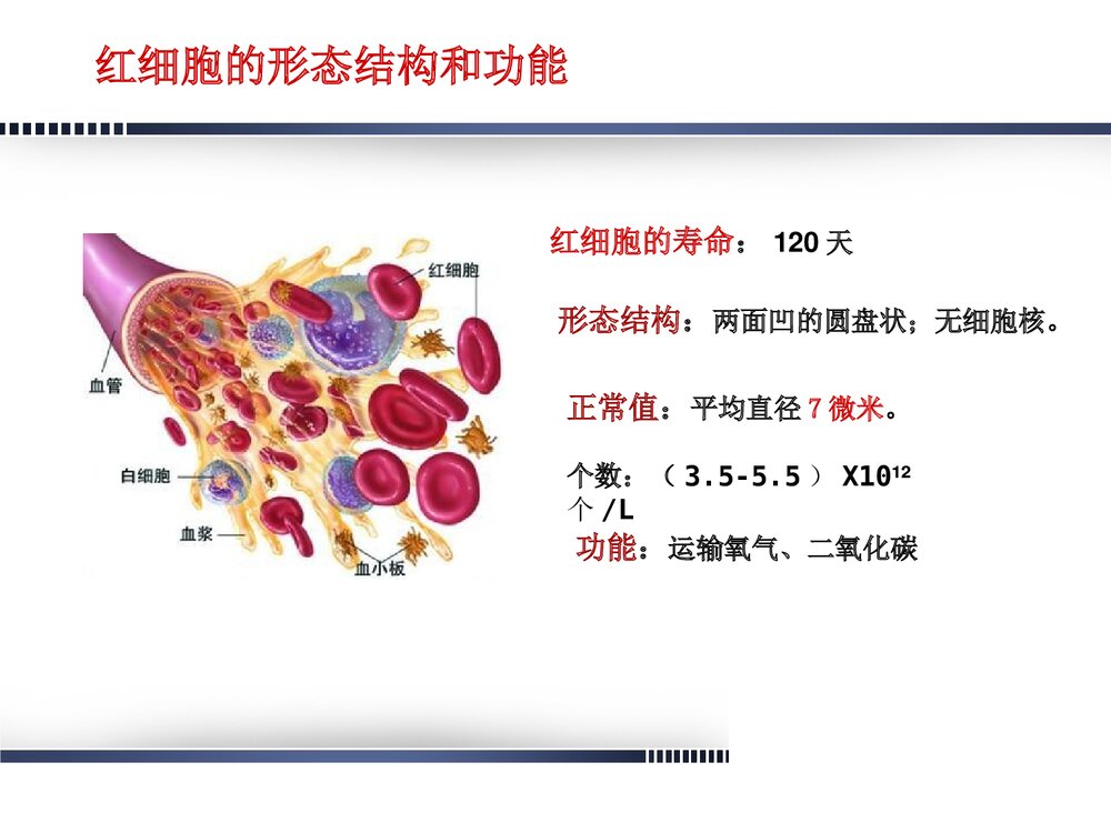 妊娠合并贫血的诊断治疗及护理PPT课件下载4