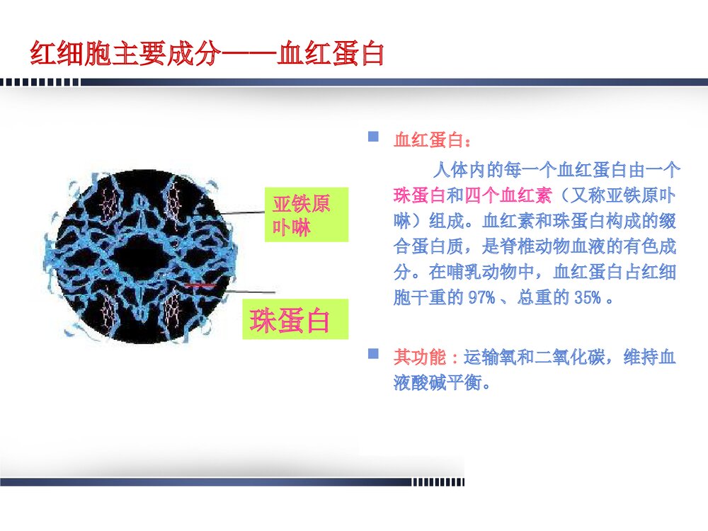 妊娠合并贫血的诊断治疗及护理PPT课件下载5