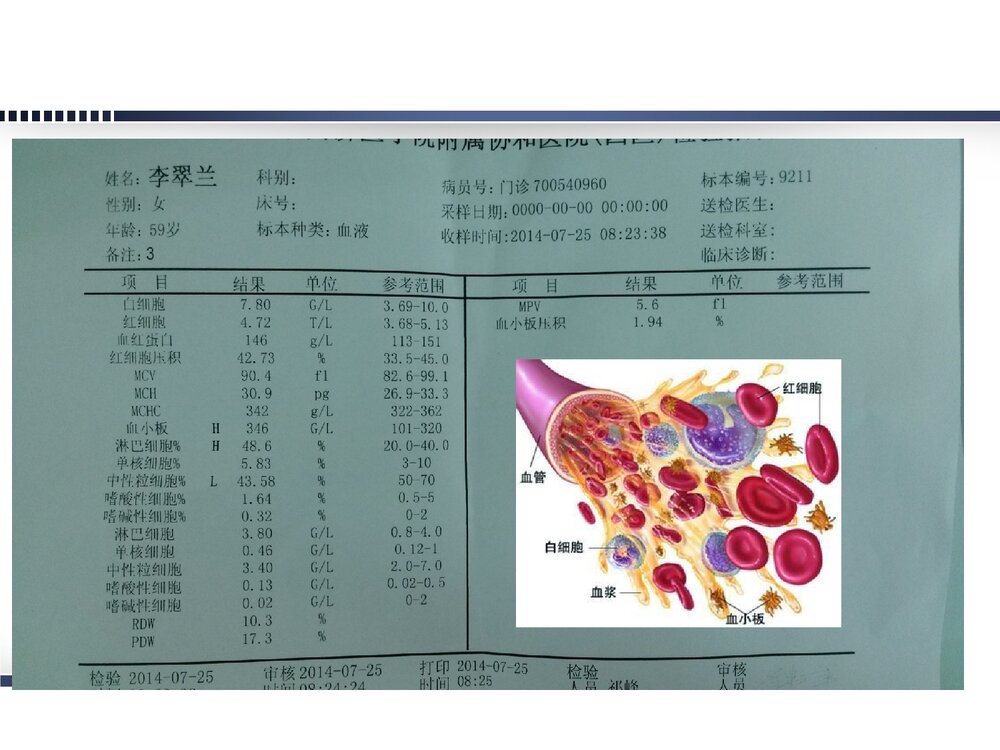妊娠合并贫血的诊断治疗及护理PPT课件下载7
