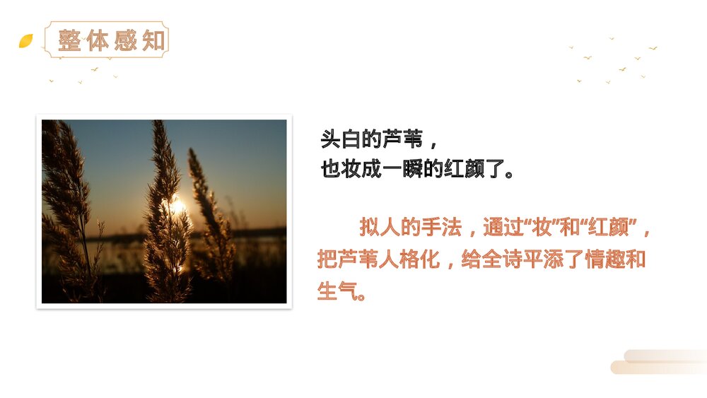 人教版四年级语文上册《现代诗二首》PPT精品课件9