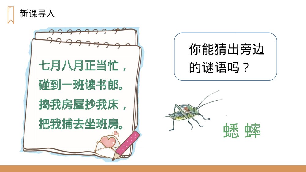 人教版四年级语文上册《蟋蟀的住宅》PPT课件2