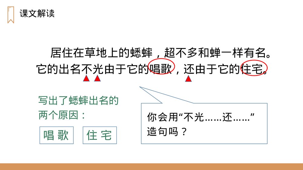 人教版四年级语文上册《蟋蟀的住宅》PPT课件10