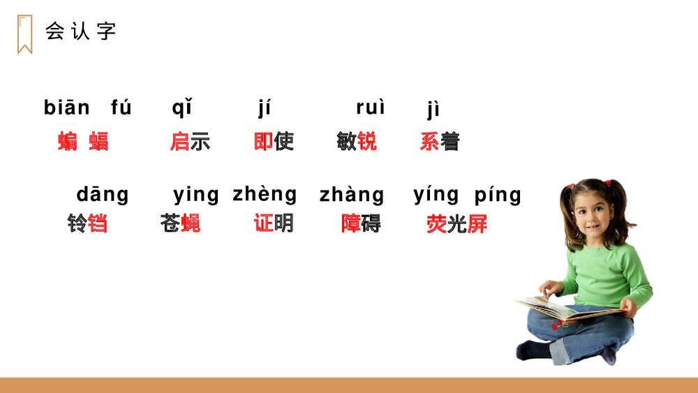 人教版四年级语文上册《蝙蝠和雷达》PPT课件5