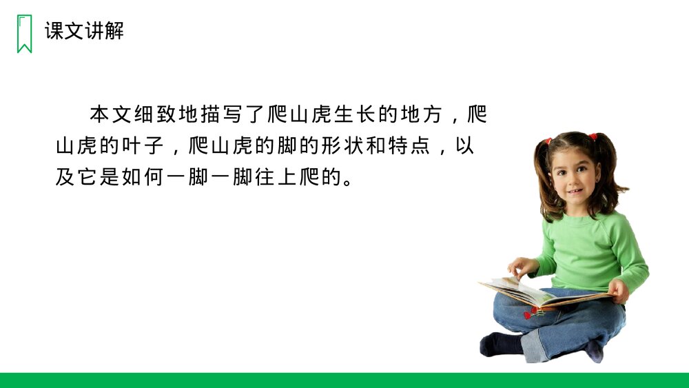 人教版四年级语文上册《爬山虎的脚》PPT课件10