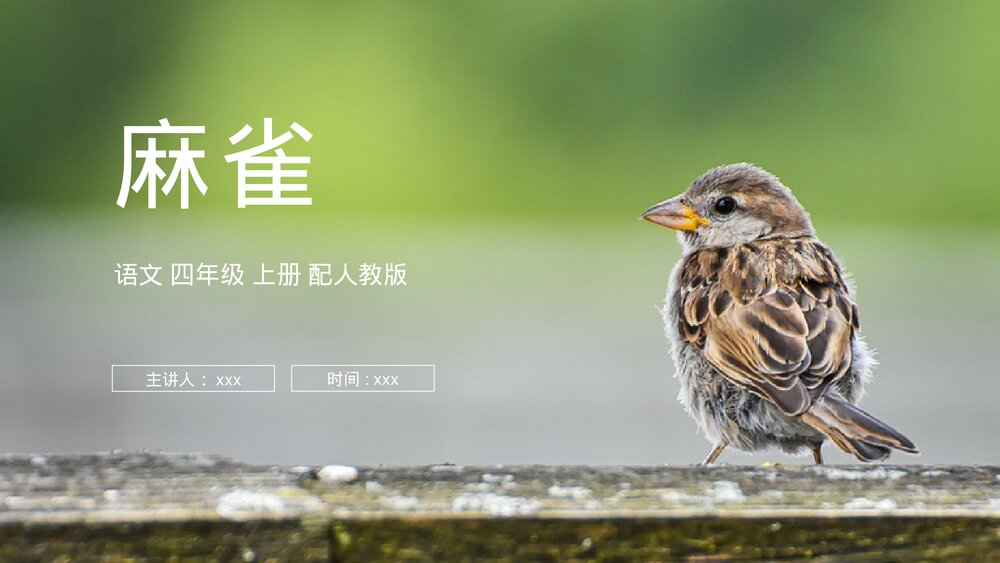 人教版四年级语文上册《麻雀》PPT课件1