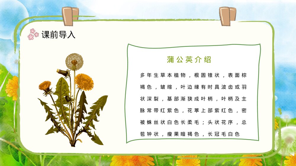 人教部编版小学三年级语文上册《金色的草地》课文教学设计通用PPT课件9