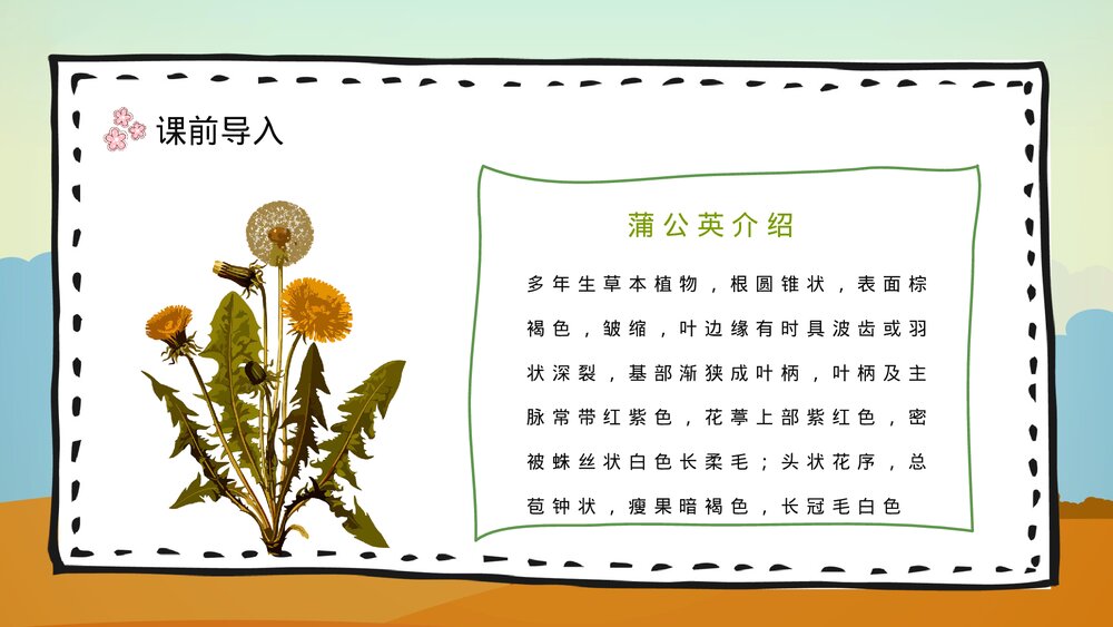 人教部编版小学三年级语文上册《金色的草地》重点难点梳理教师公开课PPT课件9