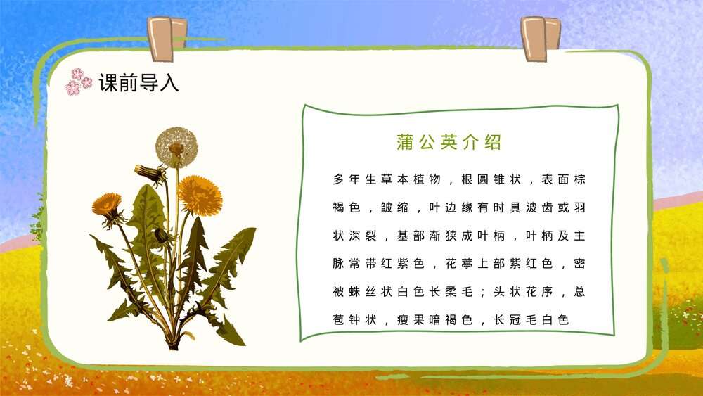 人教部编版小学语文三年级上册《金色的草地》课文导读知识点梳理PPT课件4