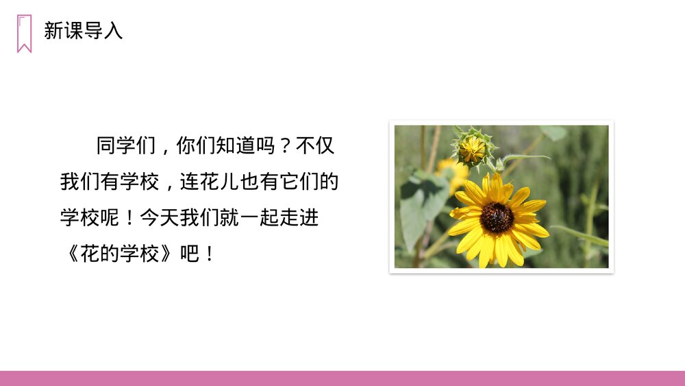 《花的学校》人教版语文三年级上册PPT课件3