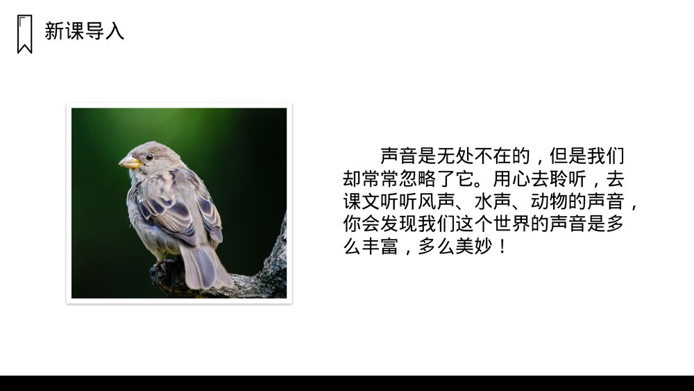 人教版语文三年级上册《大自然的声音》PPT课件2