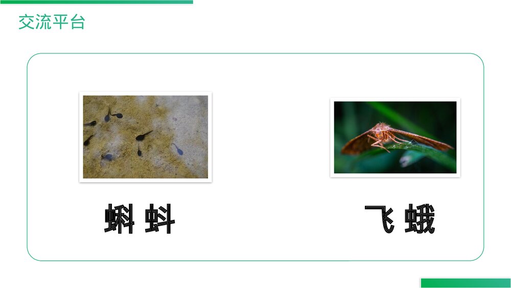 人教版语文三年级上册《语文园地(六)》PPT精品课件6