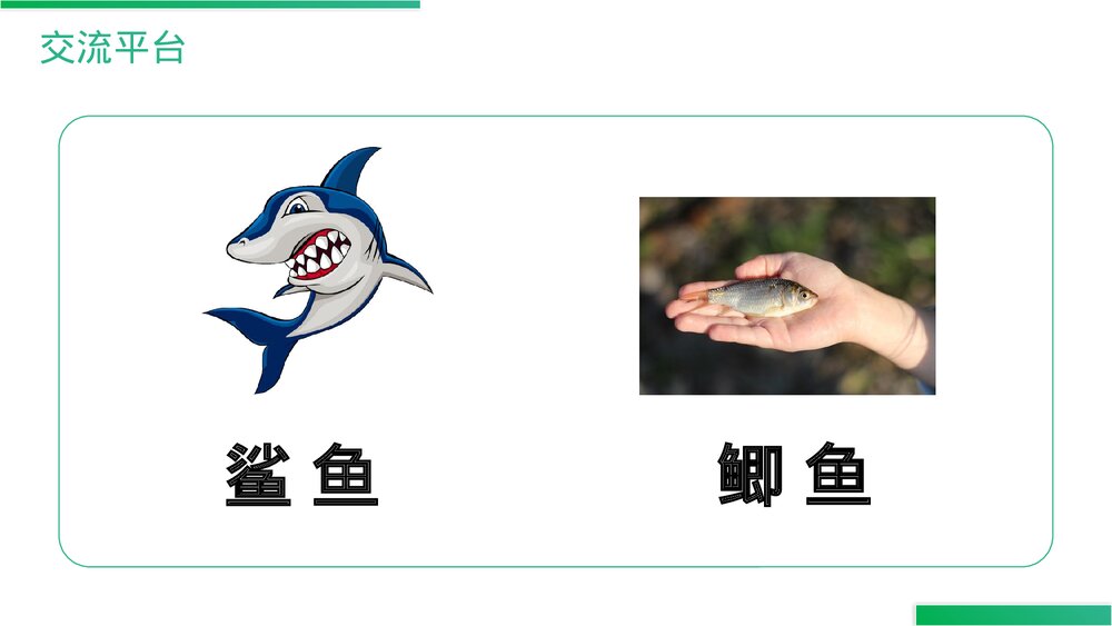 人教版语文三年级上册《语文园地(六)》PPT精品课件8