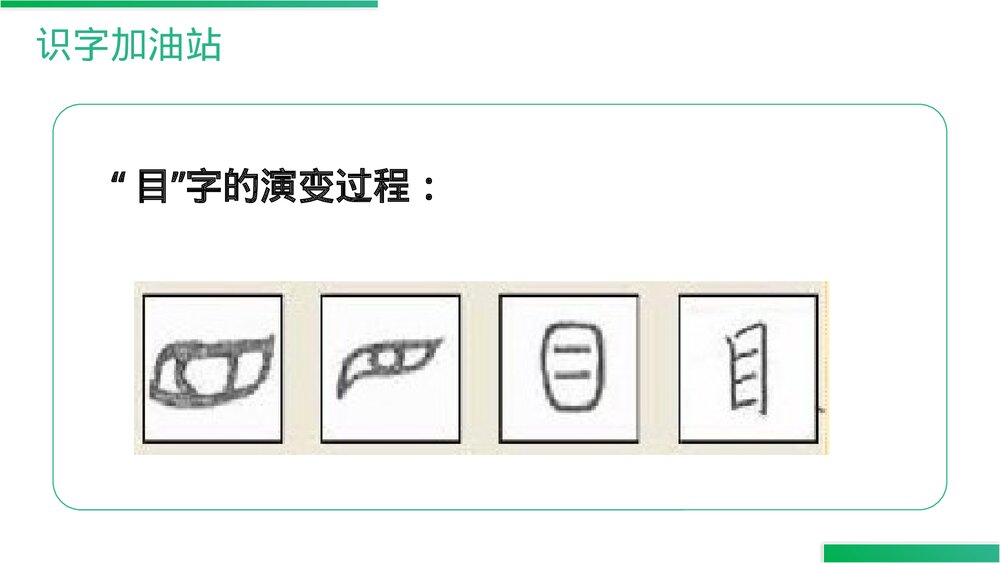 人教版语文三年级上册《语文园地(八)》PPT精品课件7