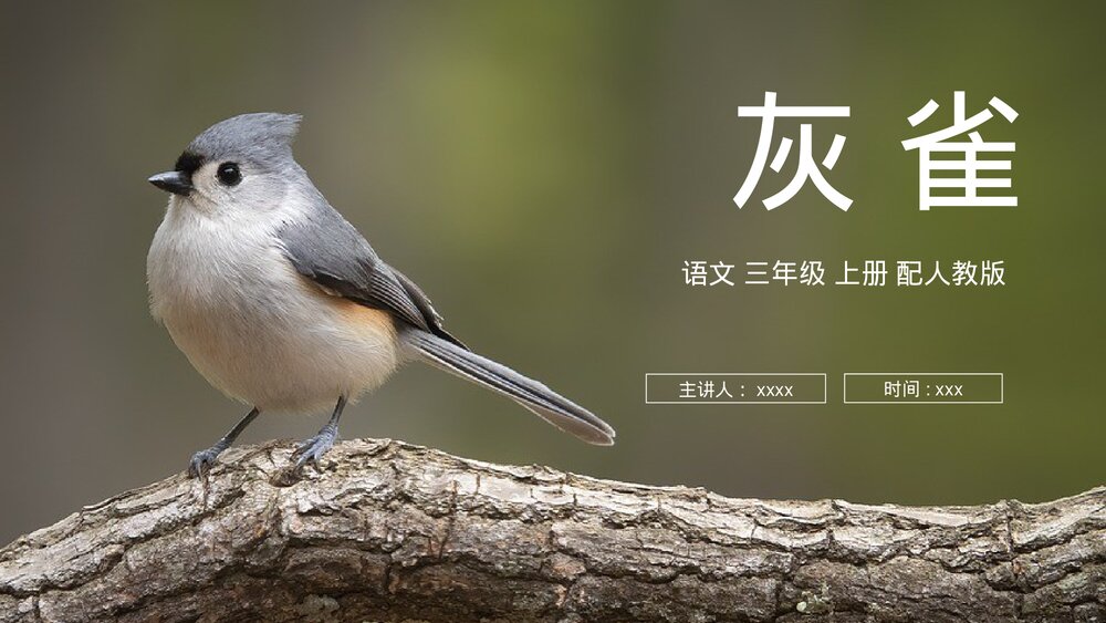 人教版语文三年级上册《灰雀》PPT课件1