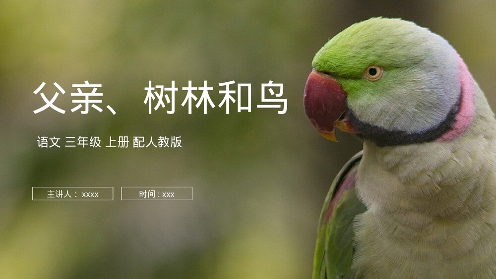 人教版语文三年级上册《父亲、树林和鸟》PPT课件1