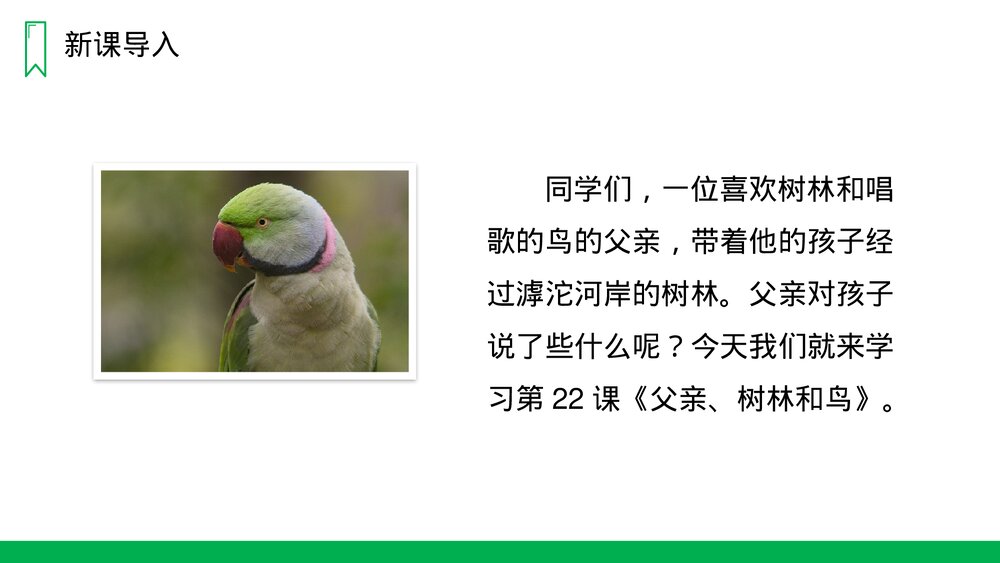 人教版语文三年级上册《父亲、树林和鸟》PPT课件3