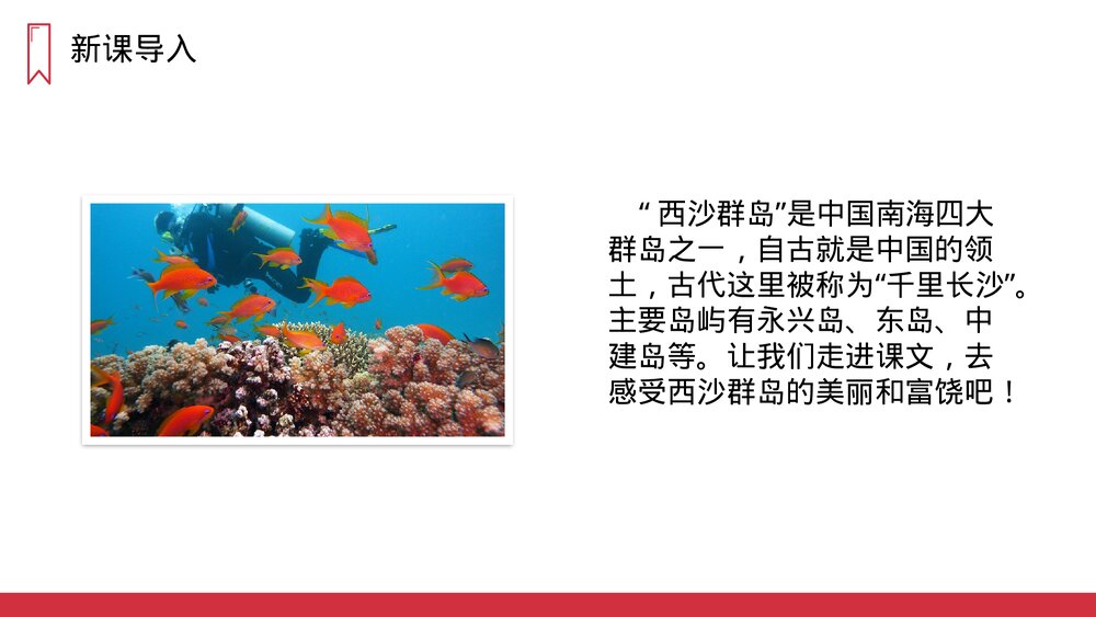 人教版语文三年级上册《富饶的西沙群岛》PPT课件2