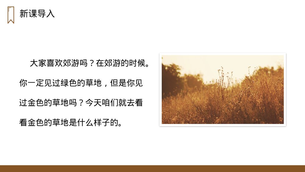 人教版三年级语文上册《金色的草地》PPT课件2