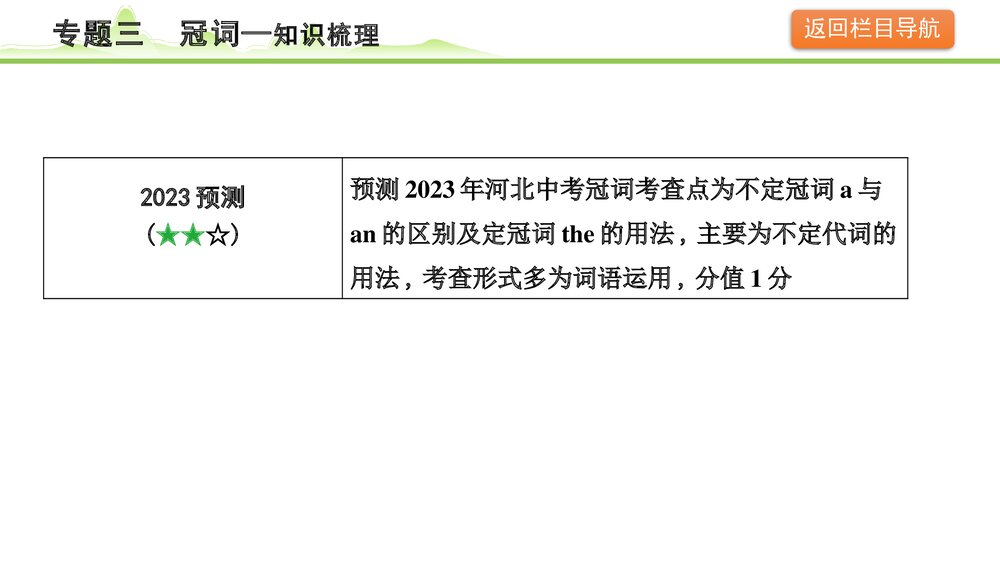 备战中考英语语法知识梳理《专题三冠词》PPT课件5