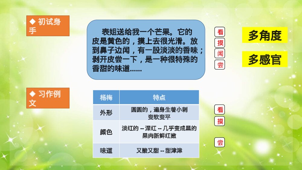 部编版语文三年级上册习作五《我们眼中的缤纷世界》PPT课件2