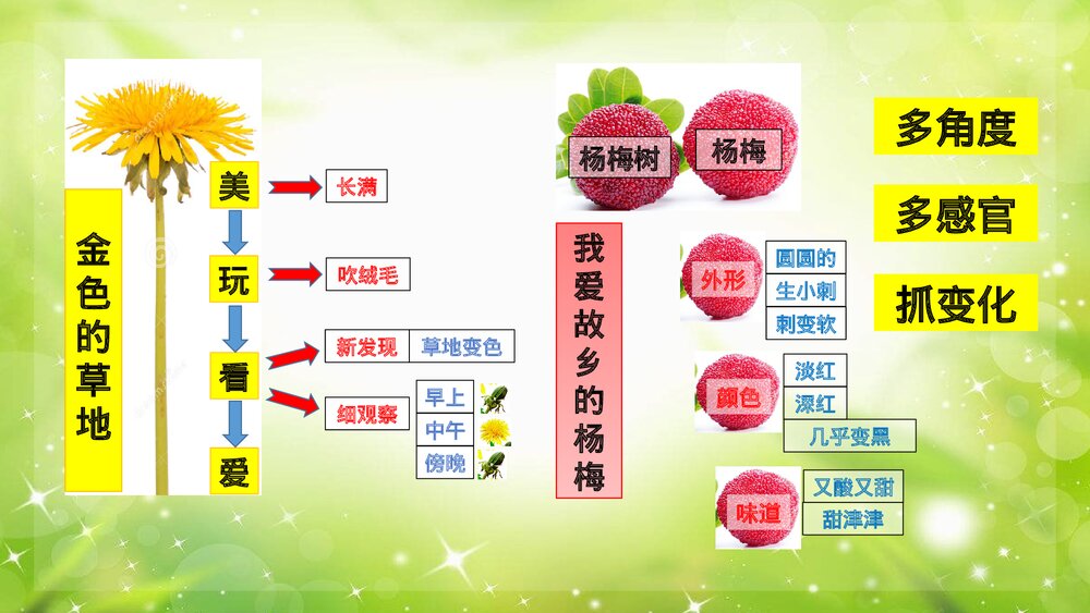 部编版语文三年级上册习作五《我们眼中的缤纷世界》PPT课件3