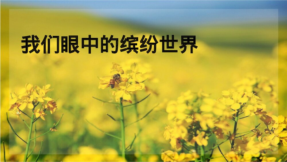 部编版语文三年级上册习作五《我们眼中的缤纷世界》PPT课件4