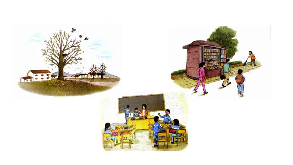 部编版语文三年级上册习作五《我们眼中的缤纷世界》PPT课件5