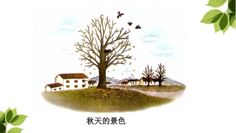 部编版语文三年级上册习作五《我们眼中的缤纷世界》PPT课件6