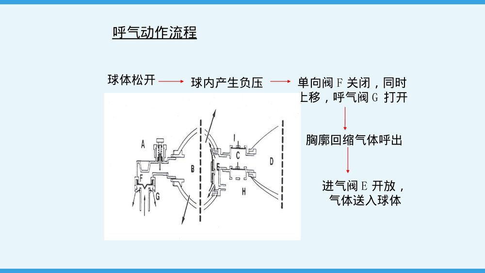 简易呼吸气囊的应用及使用PPT课件下载10