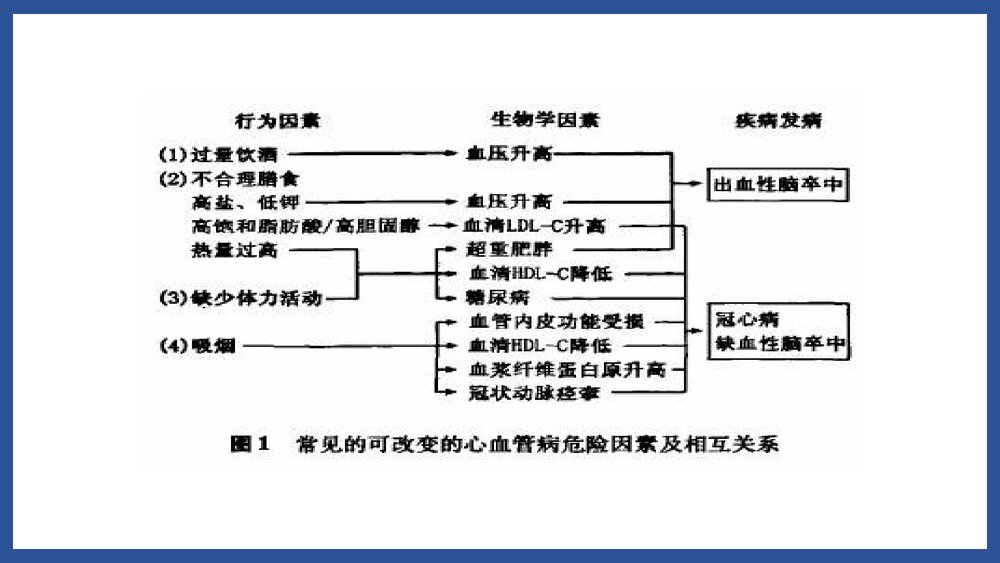 心内科·心血管疾病危险因素和预防PPT课件下载9