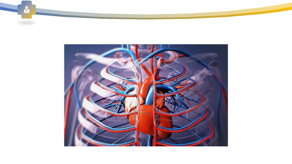 血管病变及防治PPT课件下载7