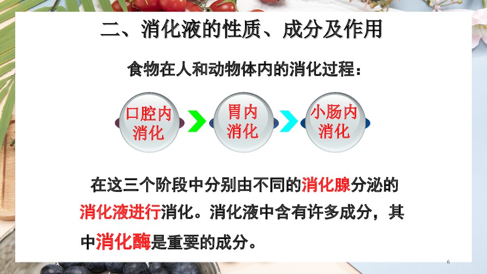 (基础营养部分)食物消化和吸收PPT课件下载6
