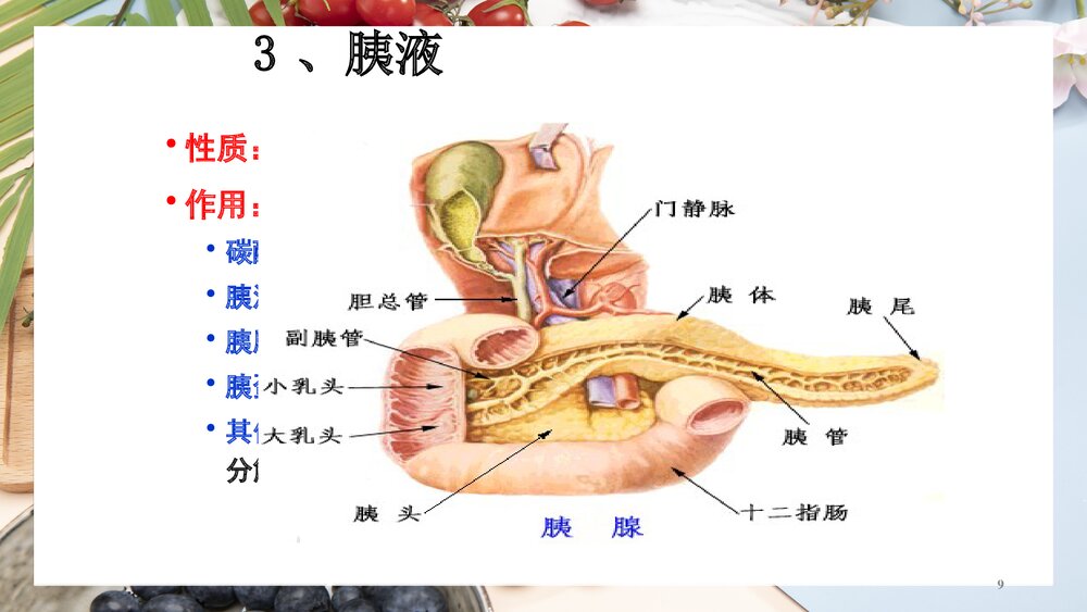 (基础营养部分)食物消化和吸收PPT课件下载9